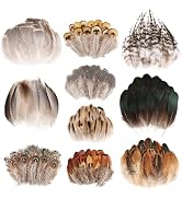 Mehellofeather Craft Feathers 10 Style Mixed Feathers for Dream Catcher Crafts Decoration Small N...
