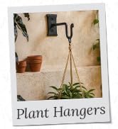 Plant Hangers