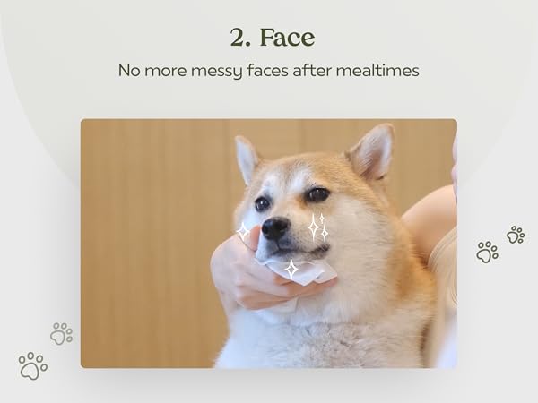 Pet Wipes