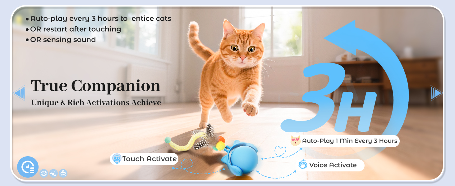 Cat Toy for Indoor Adult Cats