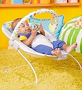 Bright Starts Baby Bouncer Soothing Vibrations Infant Seat