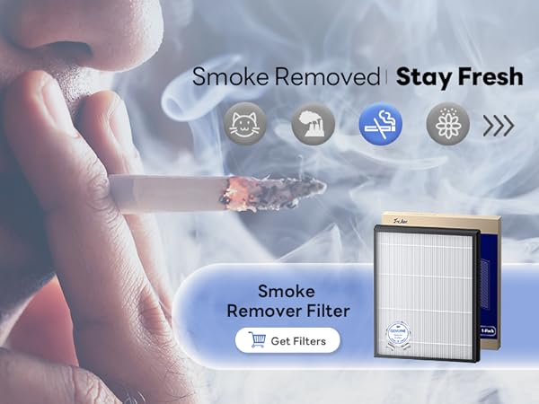 air purifier