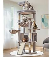 Taoqimiao 72 Inches Cat Tree for Large Cats, Multi-Level Tall Cat Tower, Widened Cat Condo with L...