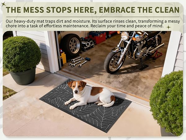 Entrance mat