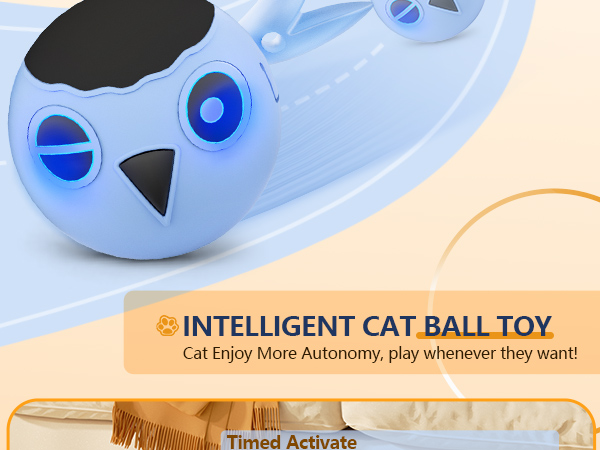 kitten toys