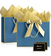 YoungTree Gift Bags with Handles, 13" Medium Gift Bag with 4 Tissue Paper and 2 Card, 2 Pcs Prese...