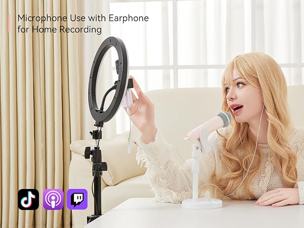 Sing Karaoke mic