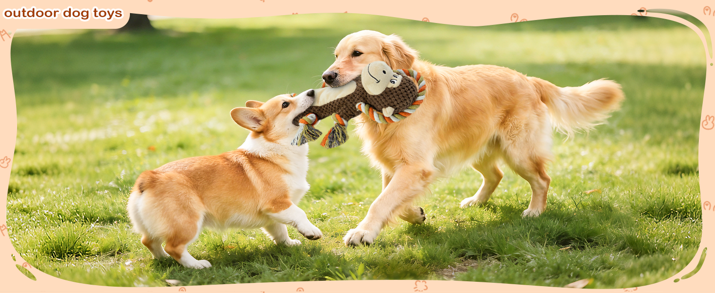 out door dog toy