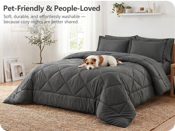 pet-friendly
