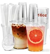 Homewarm 100 Pack 20 oz Clear Plastic Cups with Lids and Straws - Disposable Iced Coffee Cups wit...