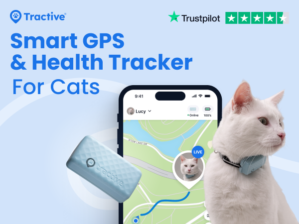 cat gps tracker