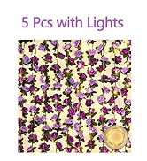 BLEUM CADE 5Pcs 41Ft Flower Garland Artificial Rose Vines with 32.8Ft String Lights, Cute Fake Ha...