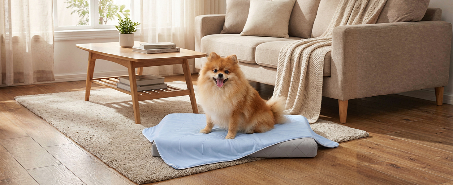 cooling blanket for dogs