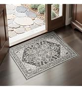 WITSHOCK Indoor Door Rug, Entrance Mat 2x3 Machine Washable Non Slip Backing Mat Soft Foldable,Vi...