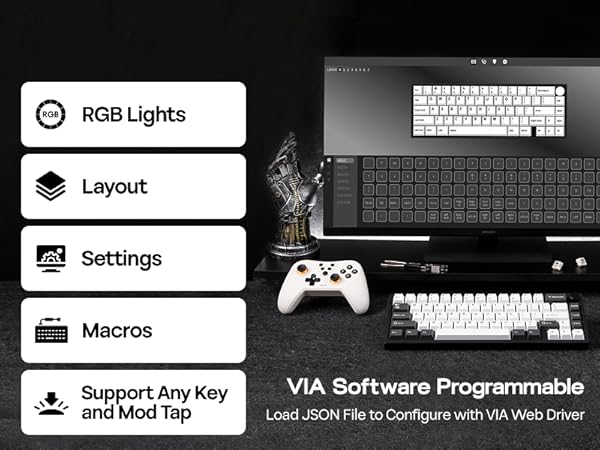 Computer setup with multiple keyboards, game controller, and software interface showing RGB lights, layout, settings, macros, and support options. VIA Software Programmable text visible.