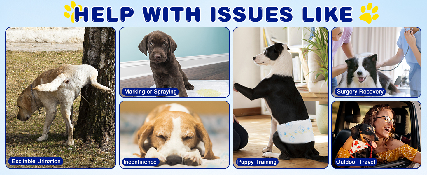 Disposable Dog Diapers