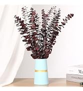 Jtoder 20 PCS Dried Eucalyptus Stems, 17'' Natural Real Live Red Eucalyptus Leaves Branches Hangi...