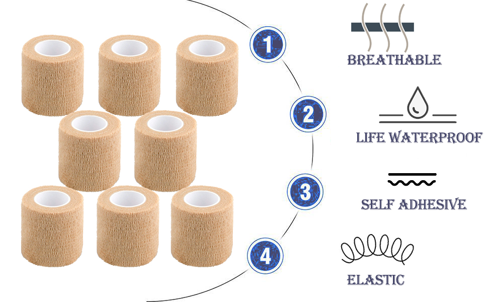 dog bandage