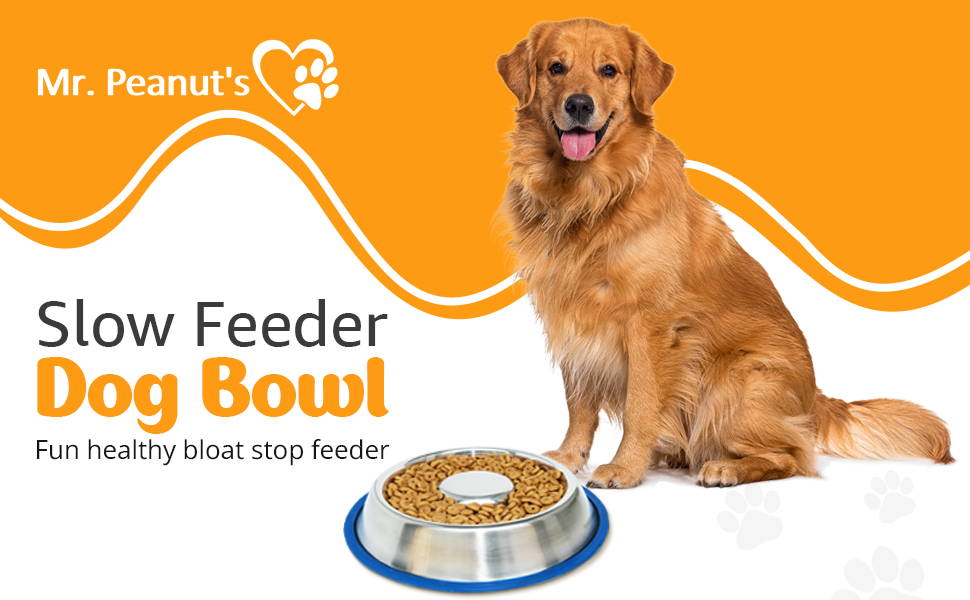 Stainless Steel Interactive Slow Feed Dog Bowl with a Blue Base, Fun Healthy Bloat Stop Feeder