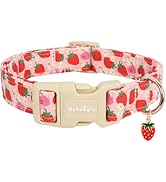 Astdogio Pink Dog Collar for Small Dogs, Cute Dog Collars Girl Puppy Collar with Strawberry Patte...