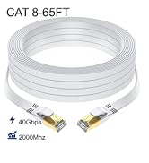 Cat 8 Ethernet Cable 65 FT, Outdoor&Indoor High Speed Heavy Duty Network LAN Internet Cable,SFTP ...