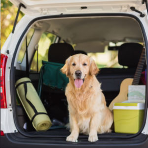 dog car seat cover for truck
