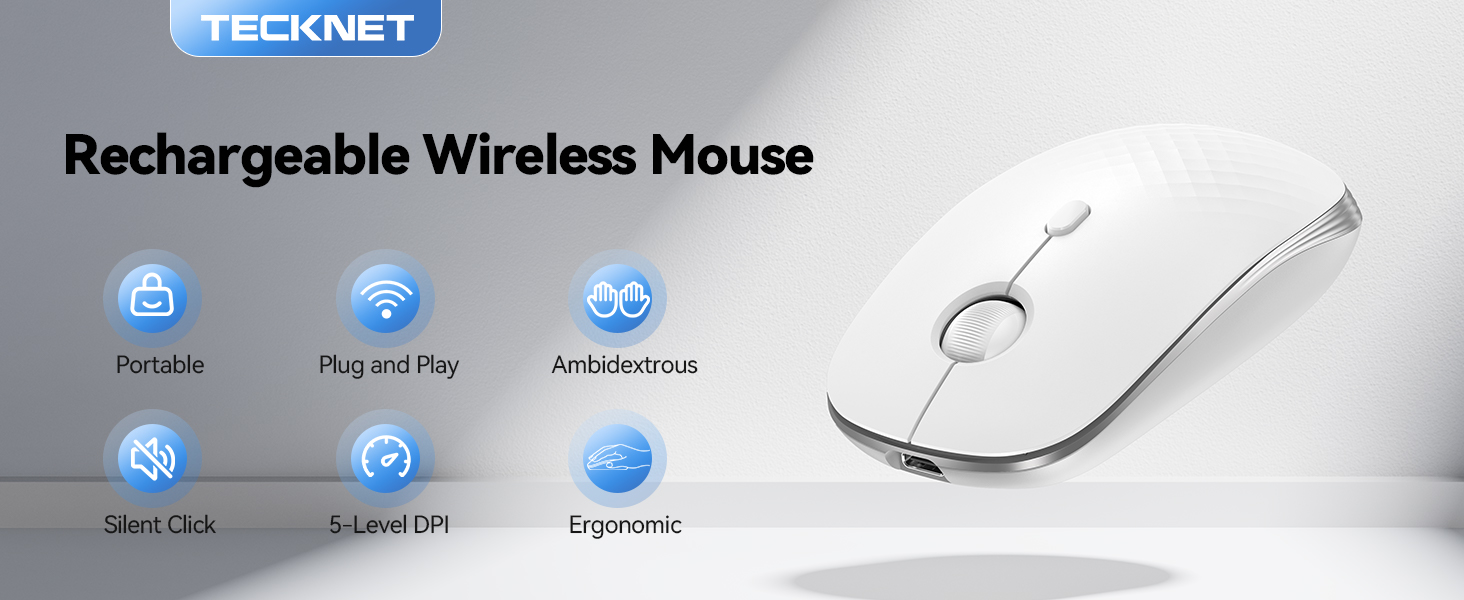 mouse