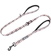 PoyPet 5 Feet Dog Leash - 2 Cushioned Handles - Functional Car Seat Belt (Checkered Beige)