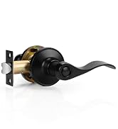 black privacy door handle