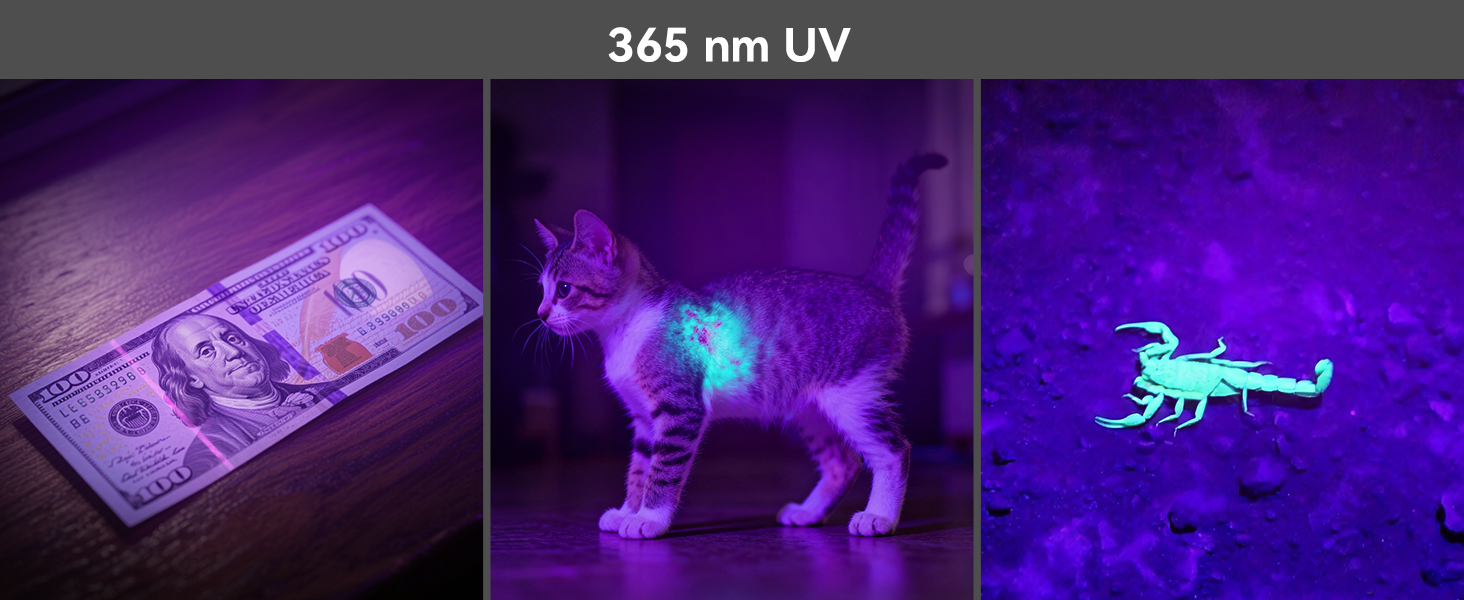 365nm uv flashlight