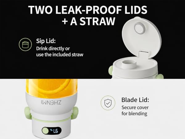 Personal Blender for Smoothies