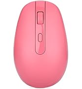 Rii Wireless Mouse RM700 2.4G Silent Mouse with USB Nano Receiver for Laptop,PC,Mac,Chromebook,Wi...
