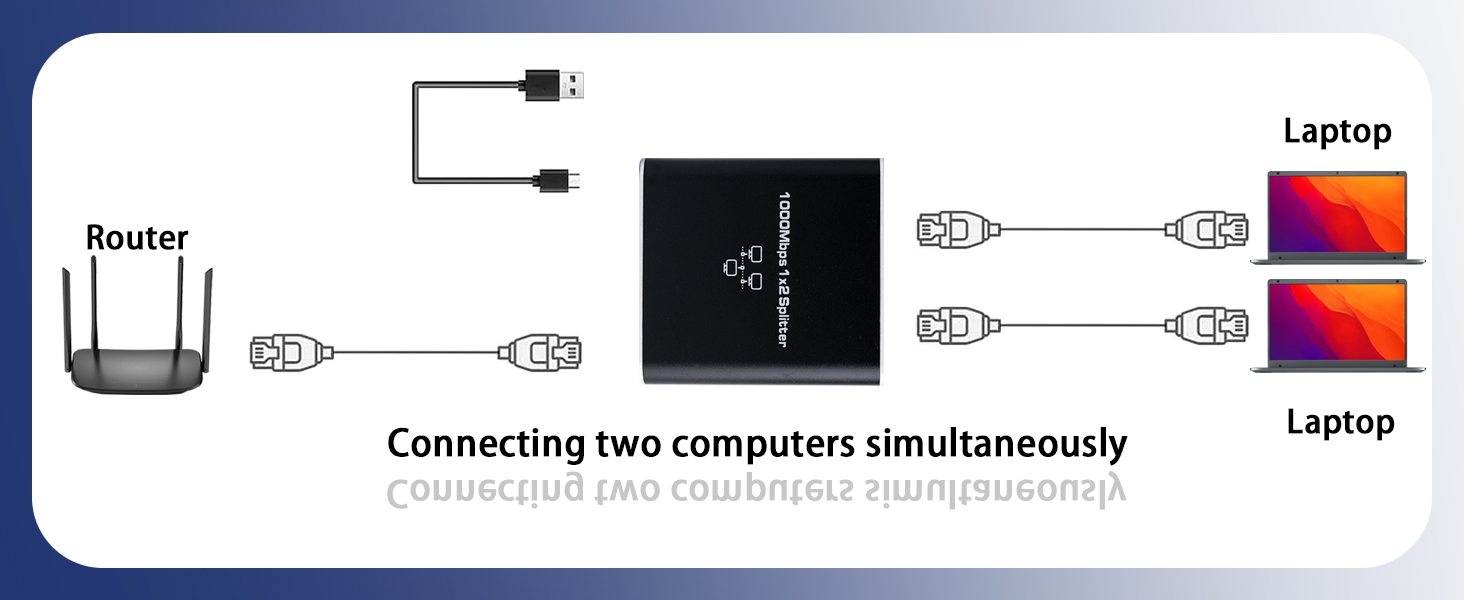 1000Mbps Network Splitter
