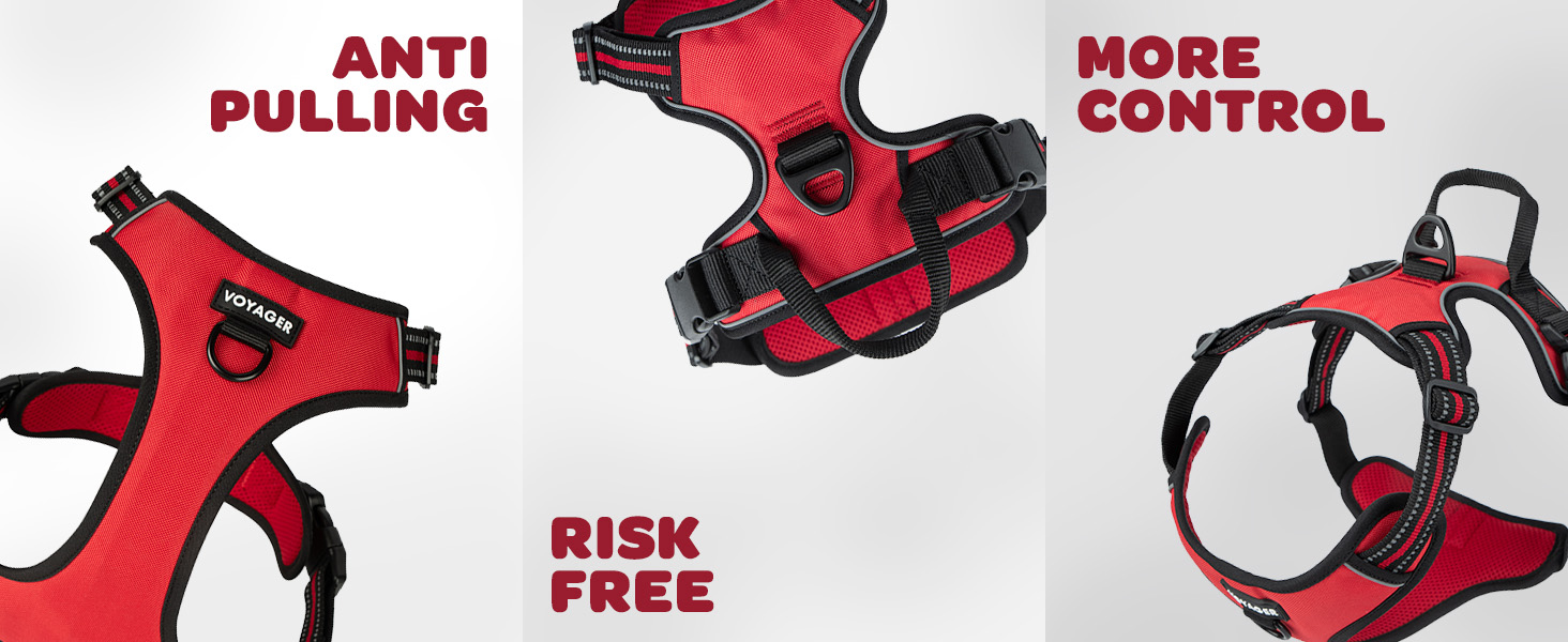 dog harness adjustable for growing pet