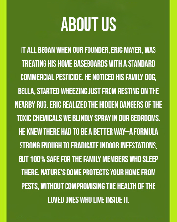 About us