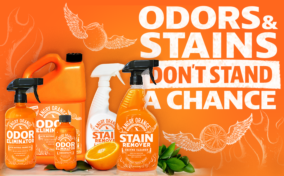 Odors & Stains Don't Stand A Chance