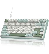 RK ROYAL KLUDGE R75 Mechanical Keyboard Wired with Volumn Knob, 75% TKL Custom Gaming Keyboard Ga...
