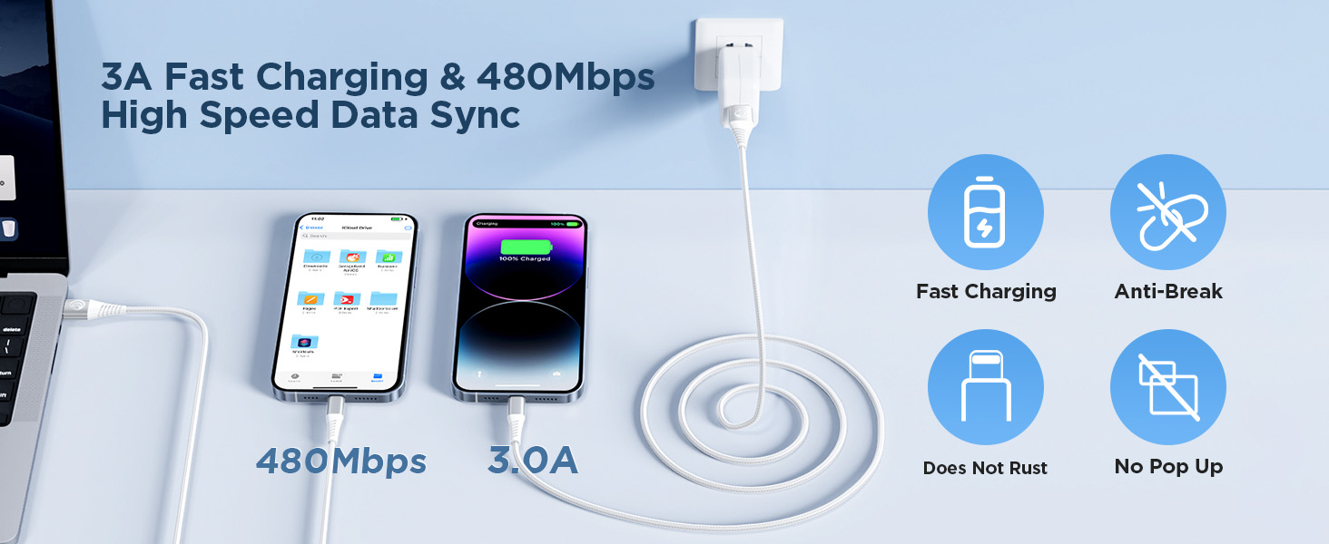 iPhone Charging Cord