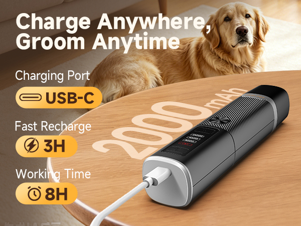 Charge Anywhere, Groom Anytime