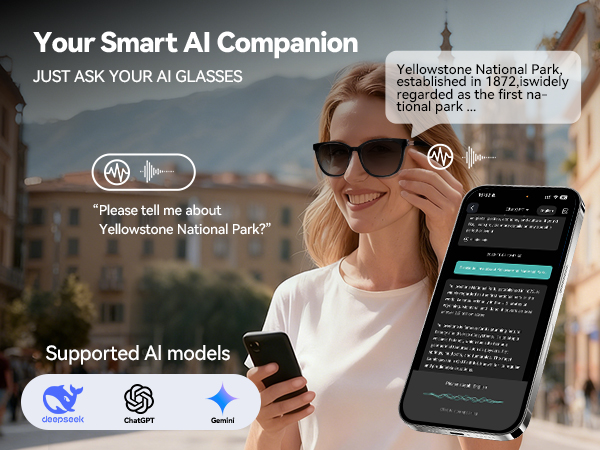 AI Assistant