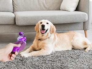 dog toys to keep them busy