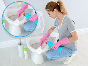 tidy plunger seat set toto scrubs flushes scrubber new house must haves accesorios para