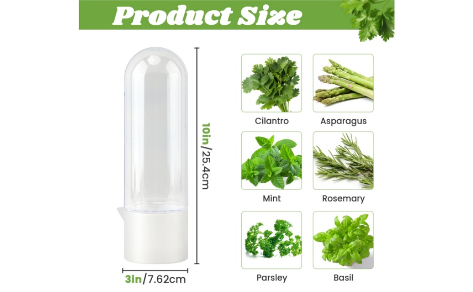 Vegetable Preservation Bottle for Cilantro