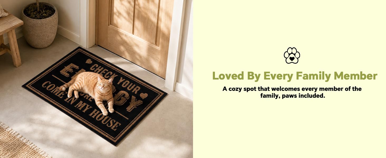 Funny Doormat for Porch Indoor Non Slip