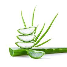 Aloe Vera Extract