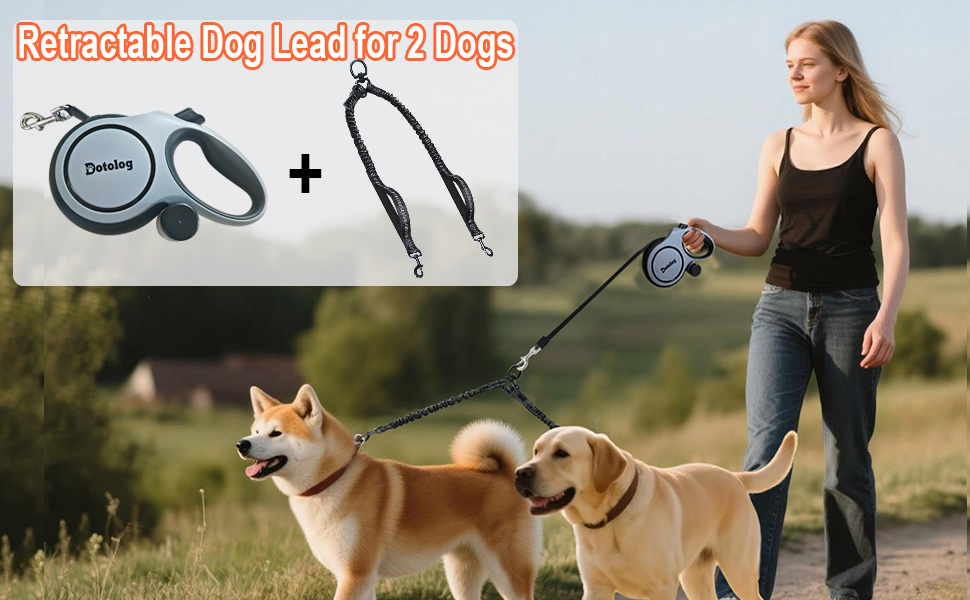 Multiple photos showing people walking dogs using hands-free leash systems, featuring active shots of walking and running with dogs on trails and paths.