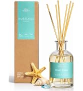 BITSOTA Natural Reed Diffuser Set, Ocean Breeze 3.52 oz (100ml) Scented Diffuser with Sticks Home...