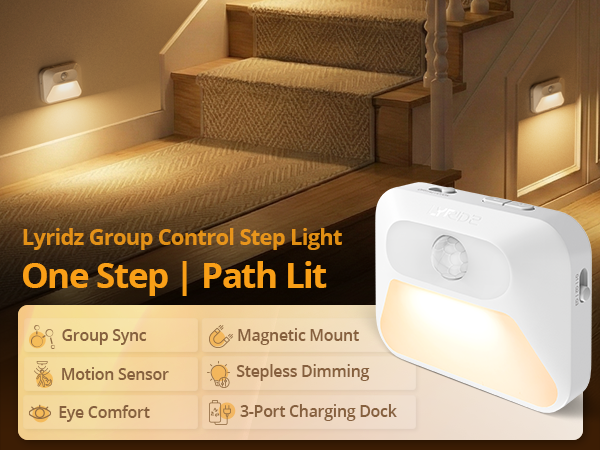 group control step light with motion sensor