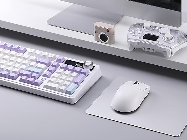 R1 SE