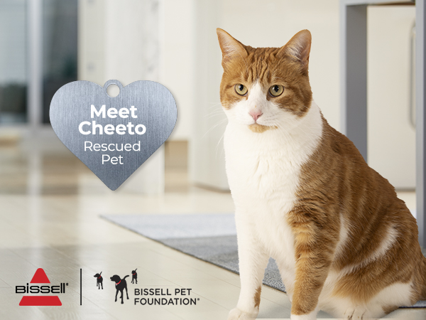 bissell pet foundation